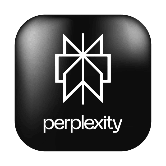 Perplexity